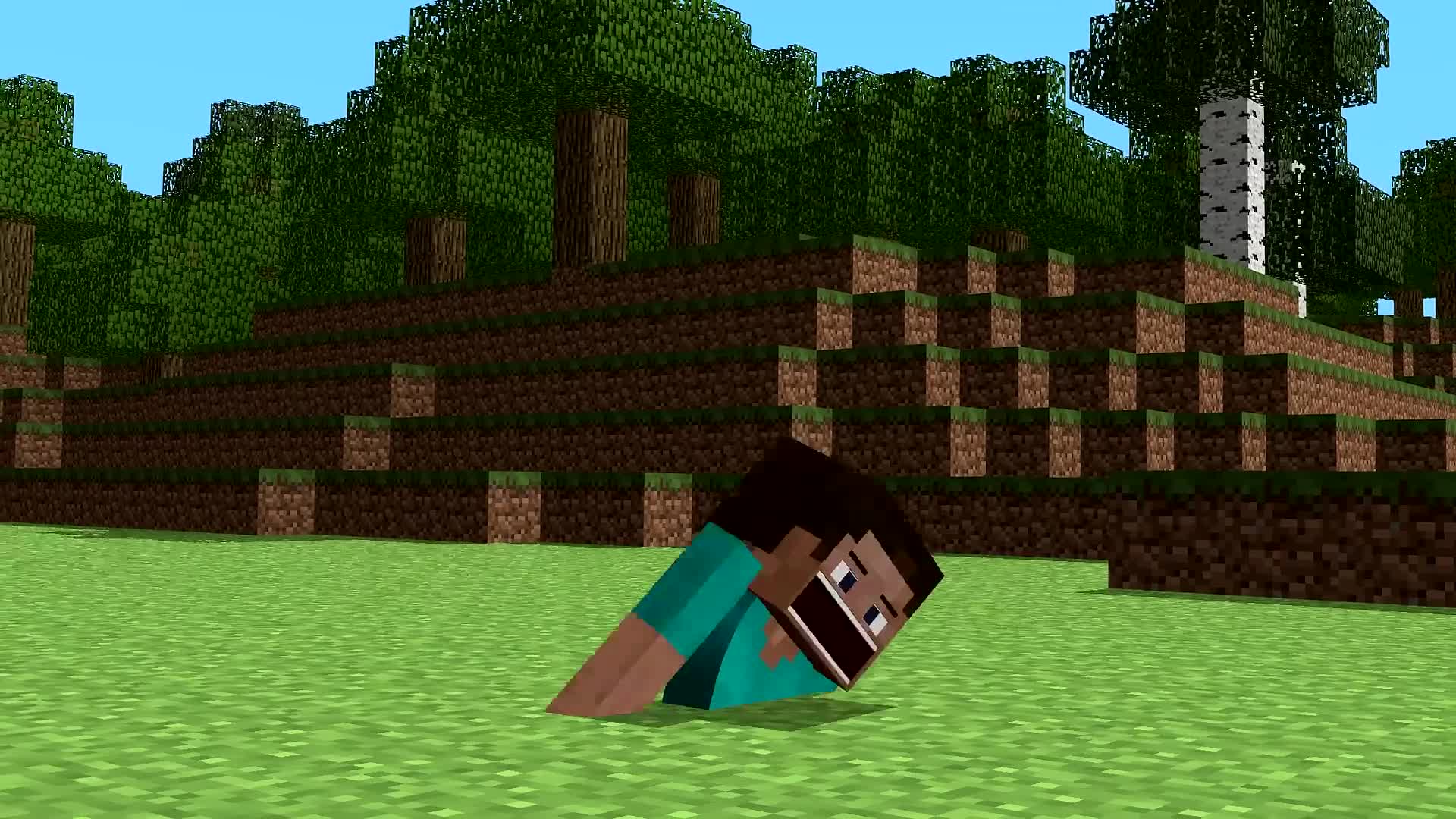 Minecraft In A Nutshell