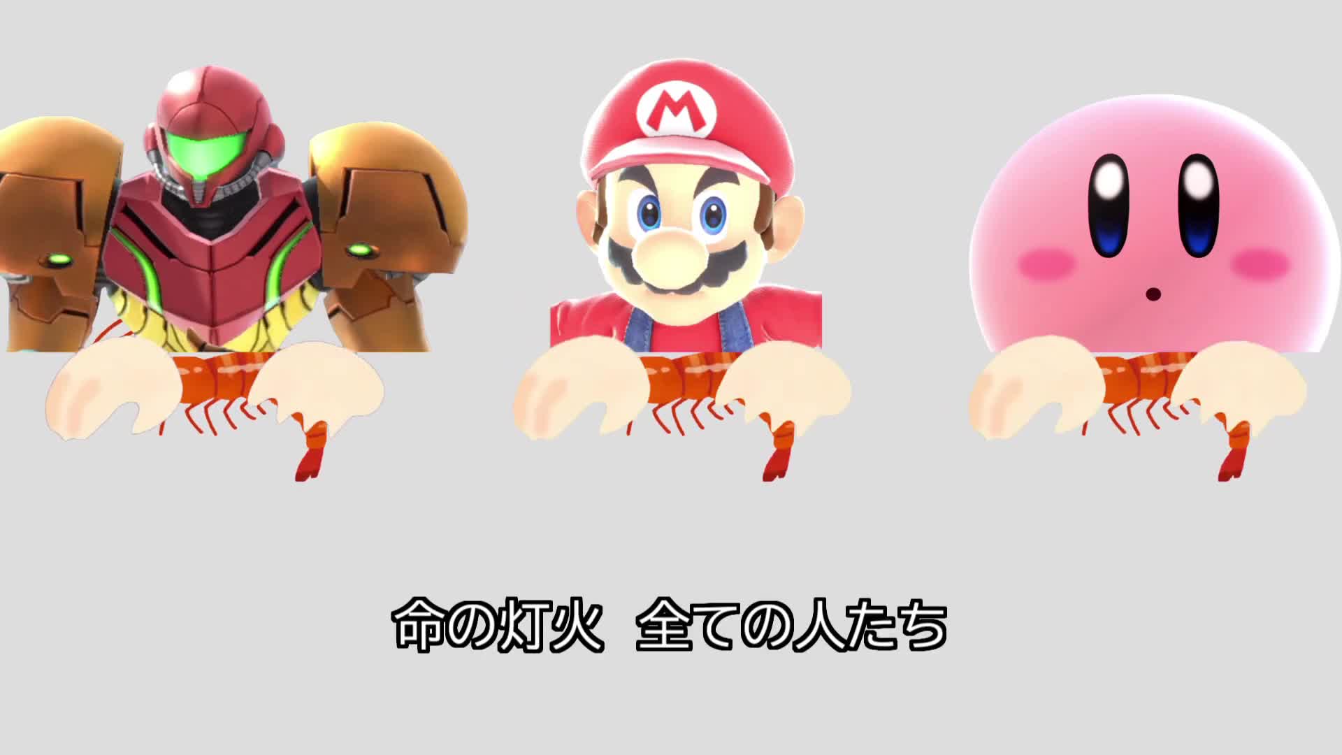 命の灯エビ (単品)